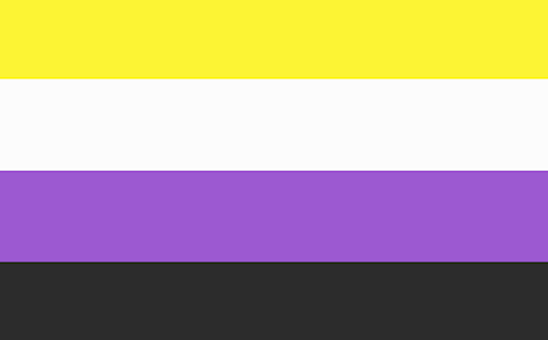 The non-binary pride flag with yellow, purple, black, and white stripes.